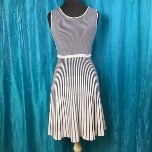 BANANA REPUBLIC - Fit and Flare Navy and white striped dress (S)